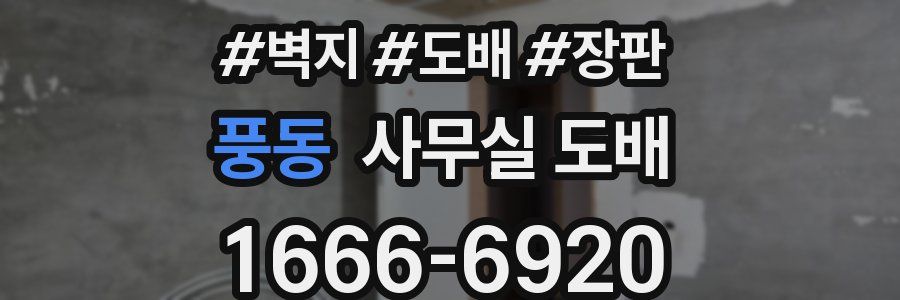 풍동 사무실 도배