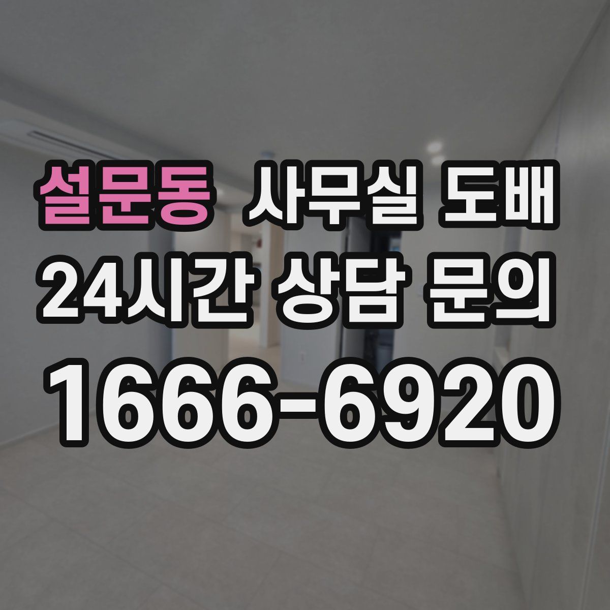 설문동 사무실 도배
