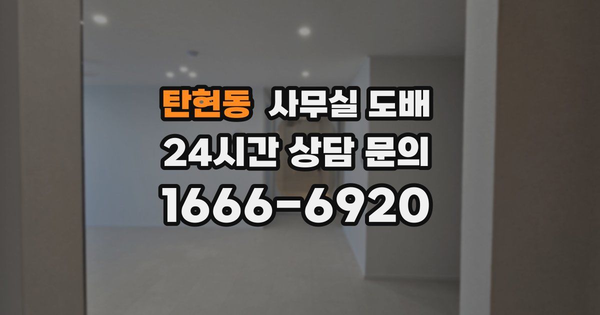 탄현동 사무실 도배