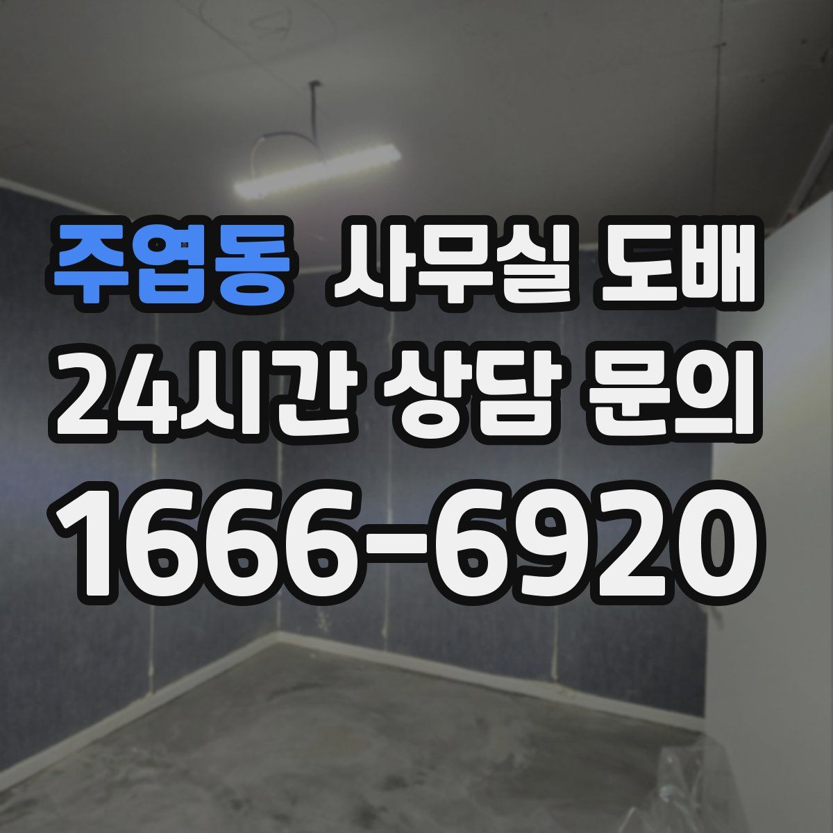 주엽동 사무실 도배
