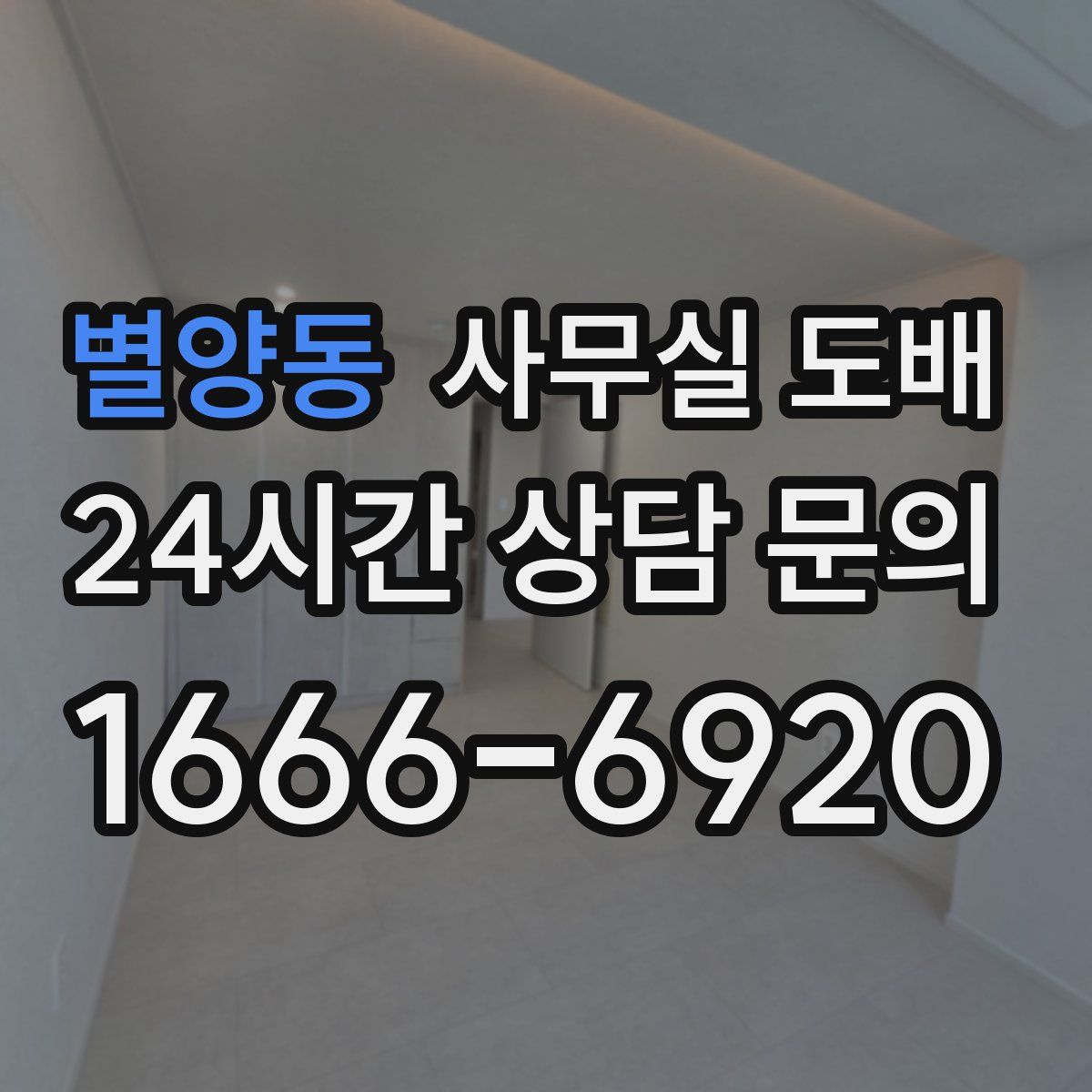 별양동 사무실 도배