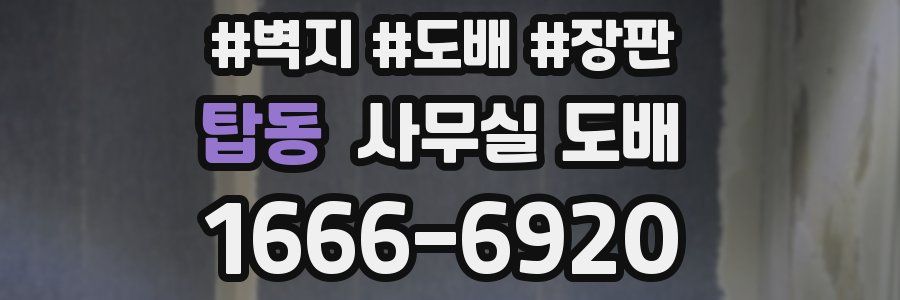 탑동 사무실 도배