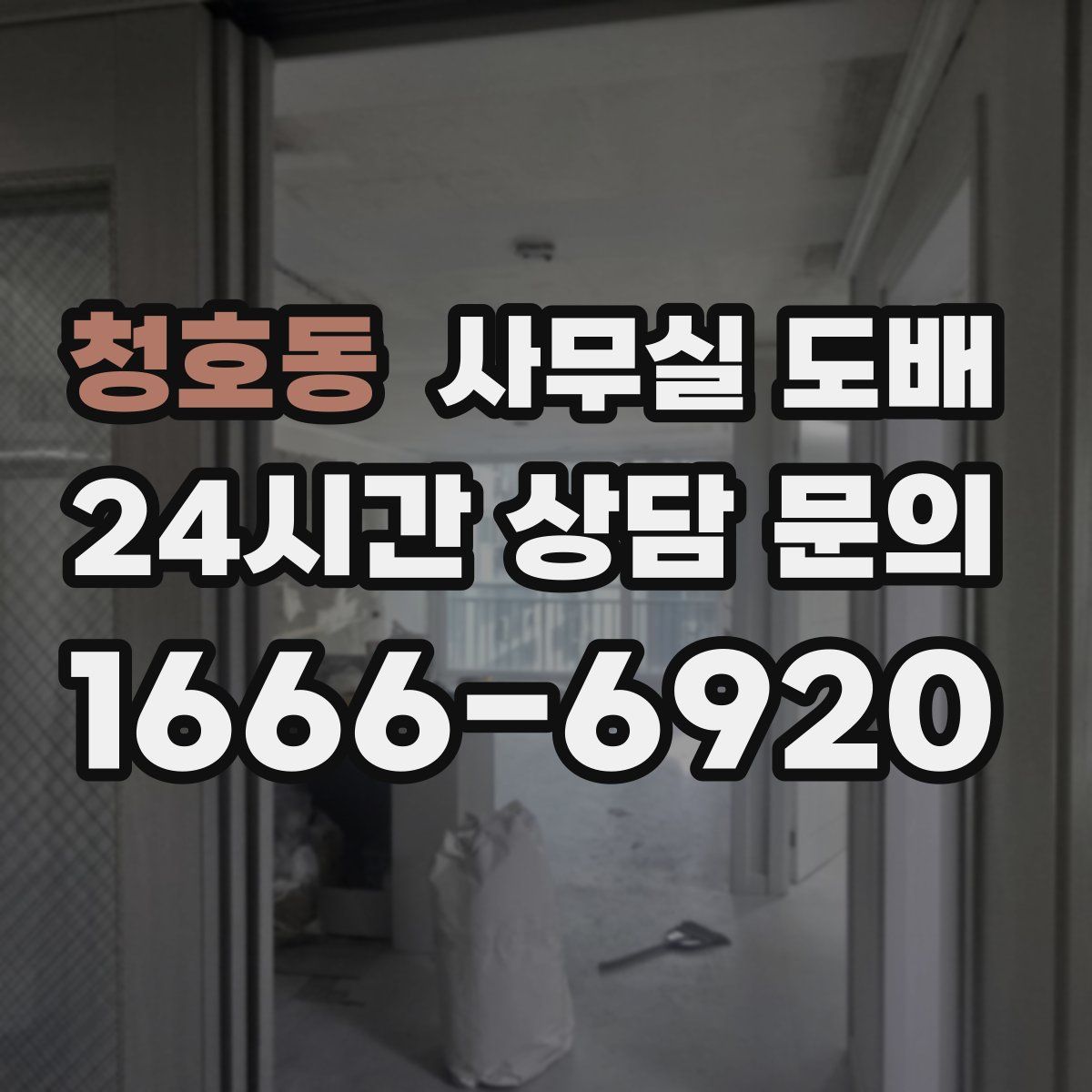 청호동 사무실 도배