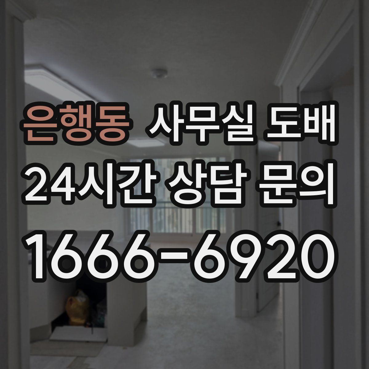 은행동 사무실 도배