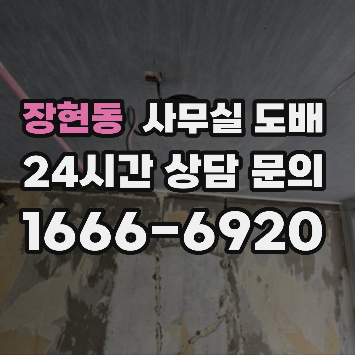 장현동 사무실 도배