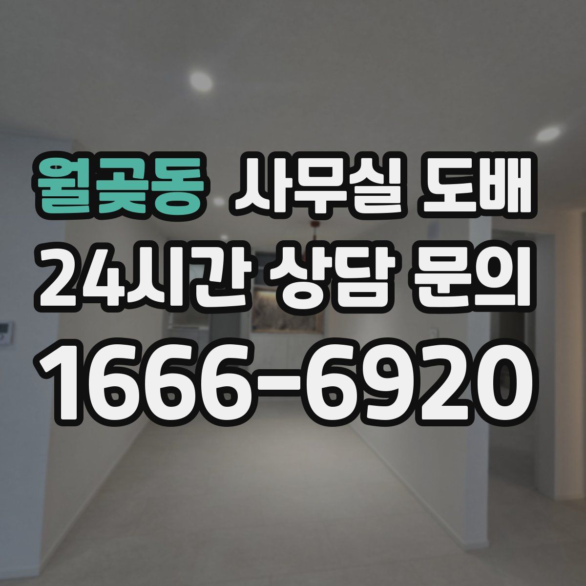 월곶동 사무실 도배