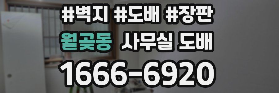 월곶동 사무실 도배
