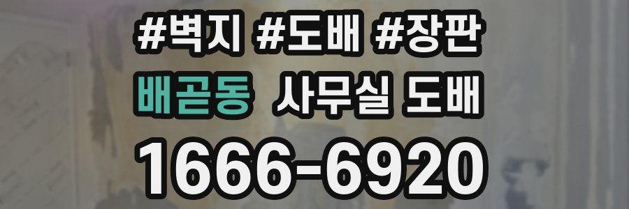 배곧동 사무실 도배