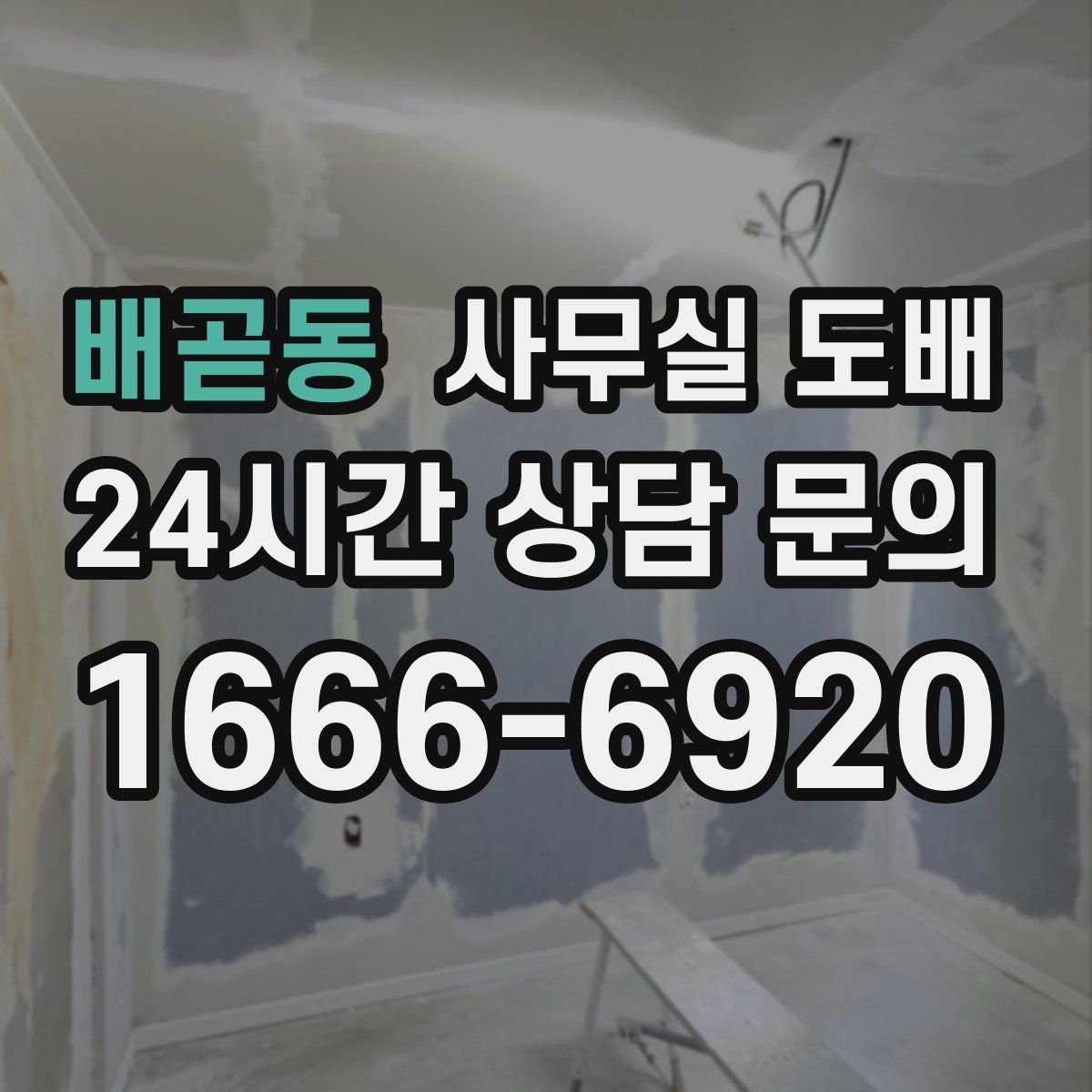 배곧동 사무실 도배