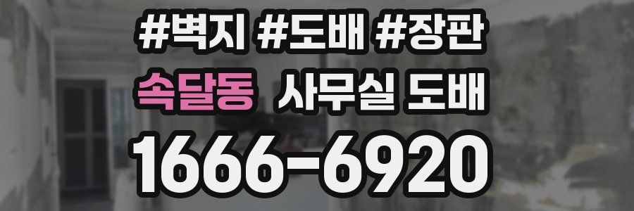 속달동 사무실 도배