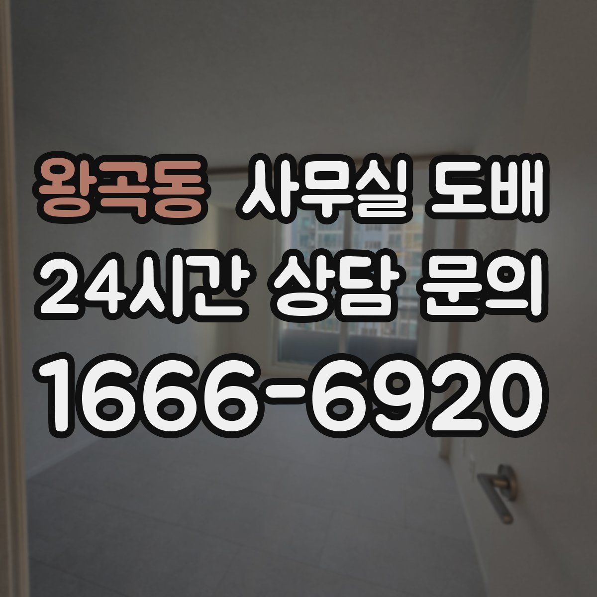 왕곡동 사무실 도배