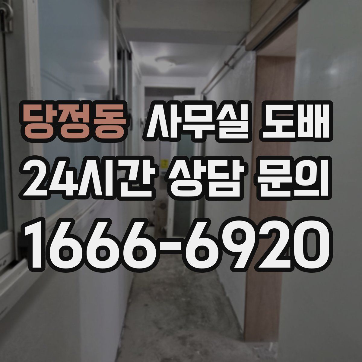 당정동 사무실 도배