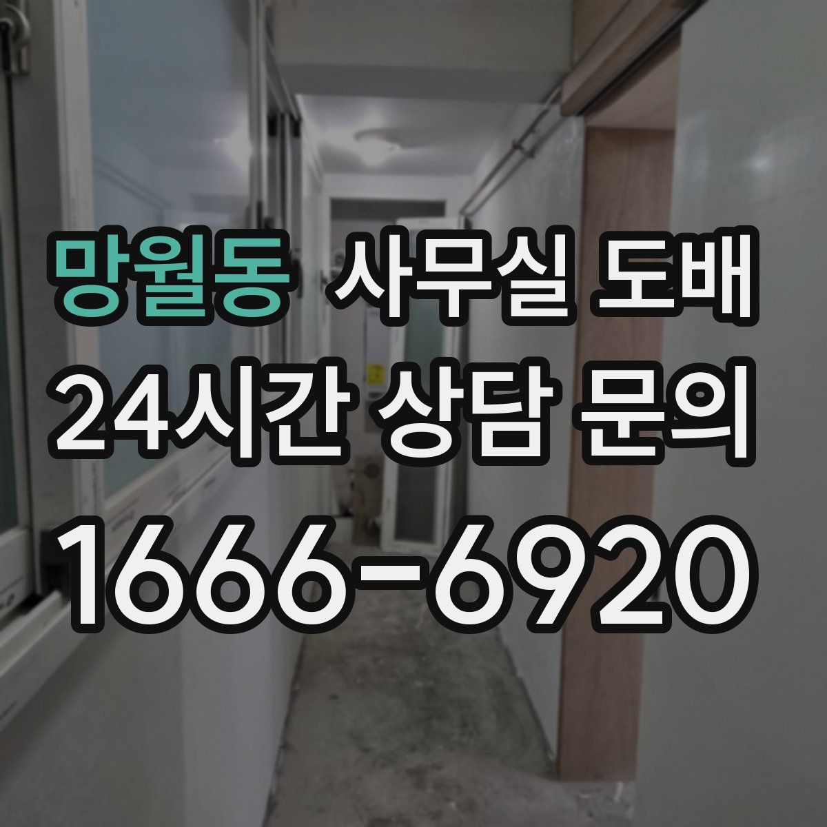 망월동 사무실 도배