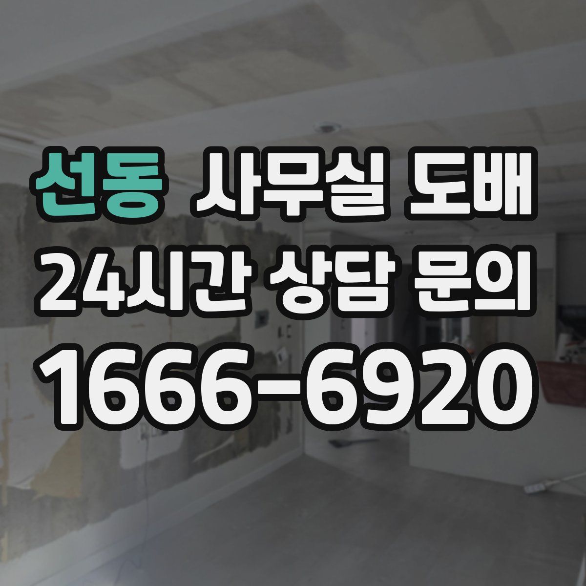 선동 사무실 도배