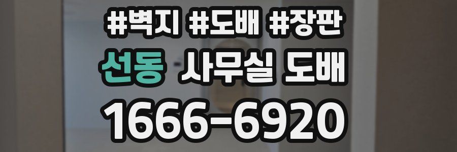 선동 사무실 도배