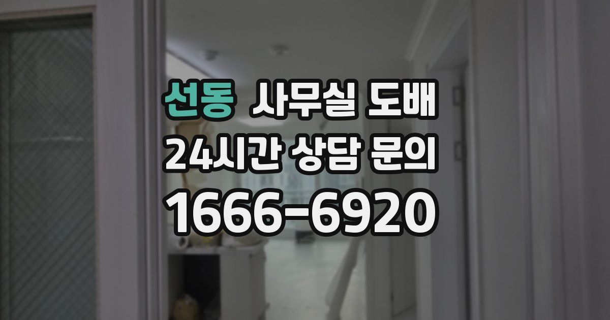 선동 사무실 도배