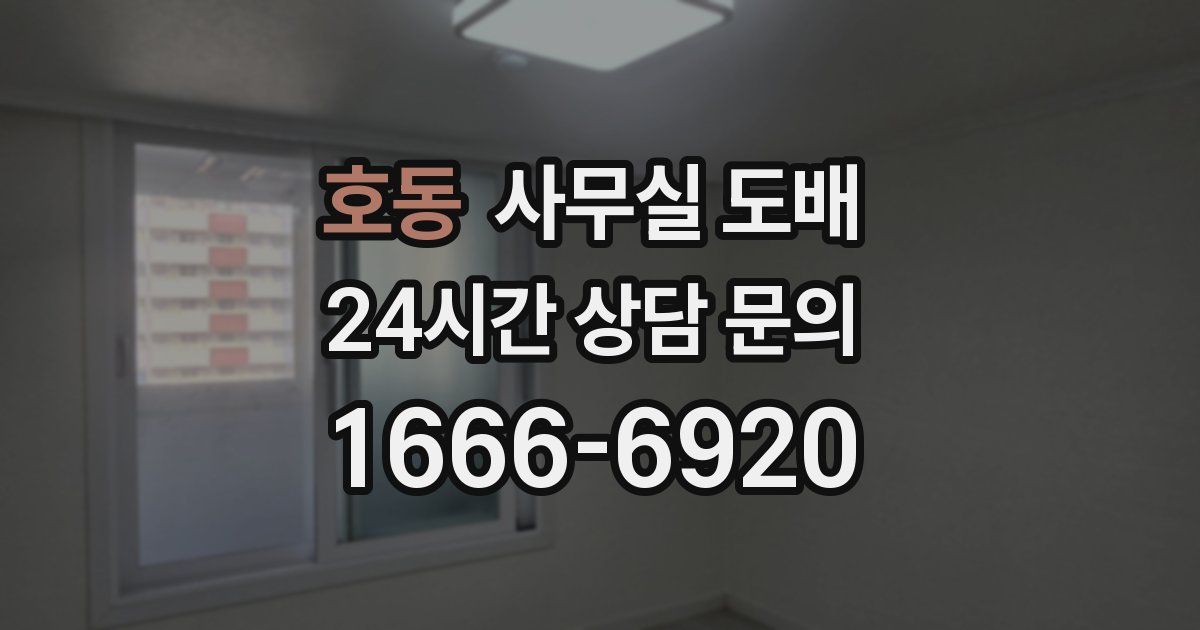 호동 사무실 도배