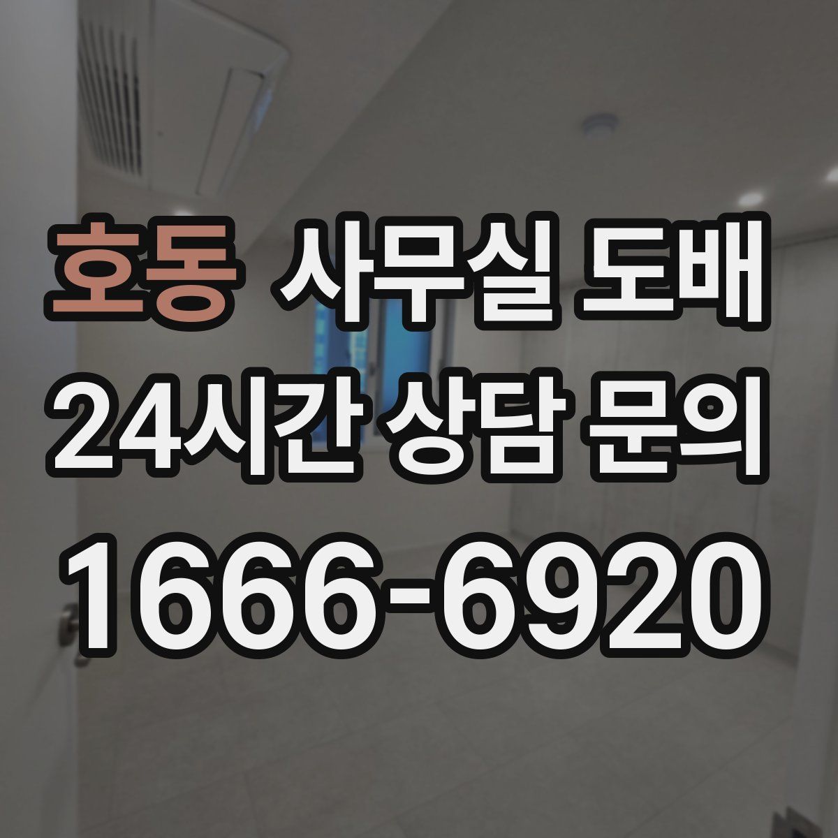 호동 사무실 도배