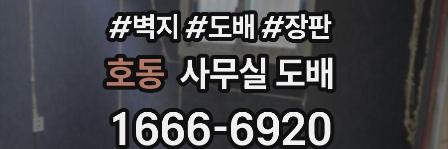호동 사무실 도배