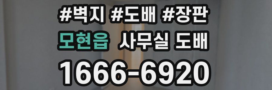 모현읍 사무실 도배