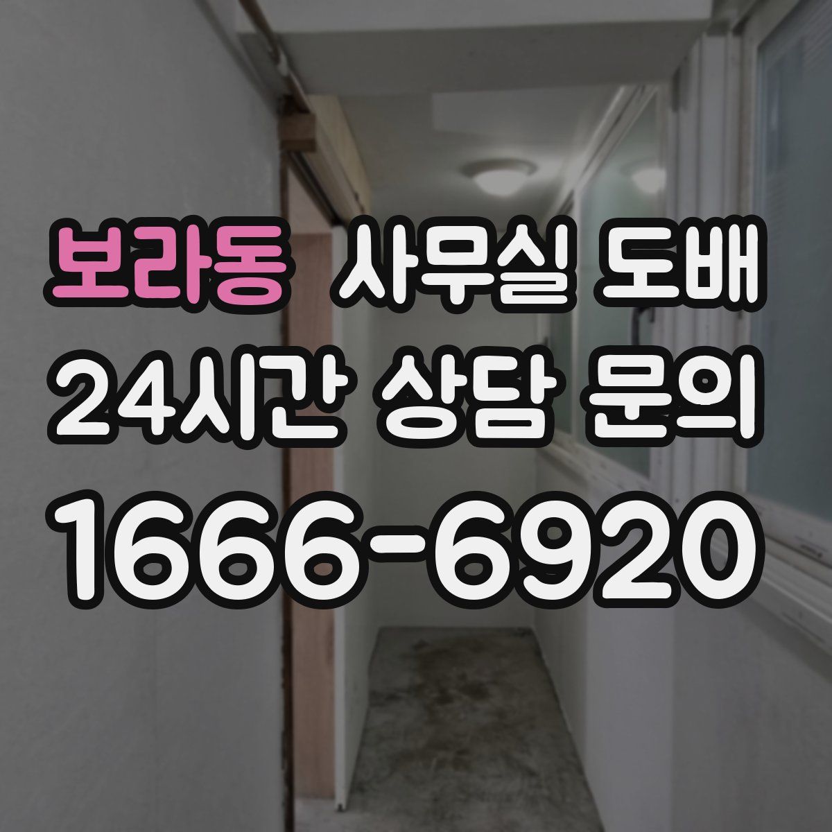 보라동 사무실 도배