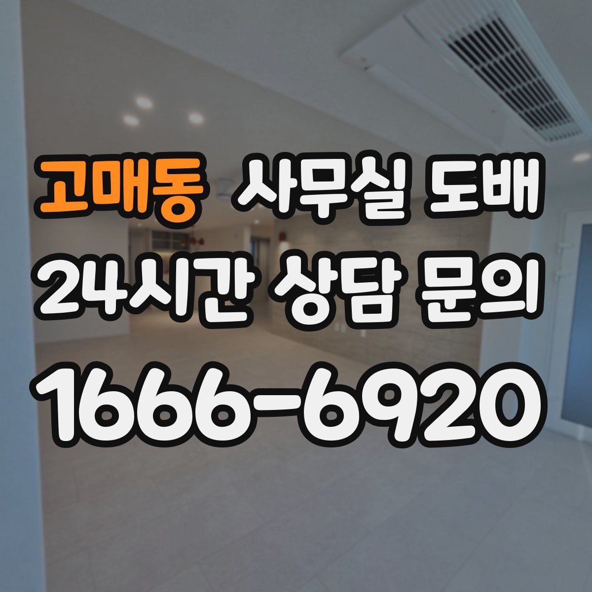 고매동 사무실 도배