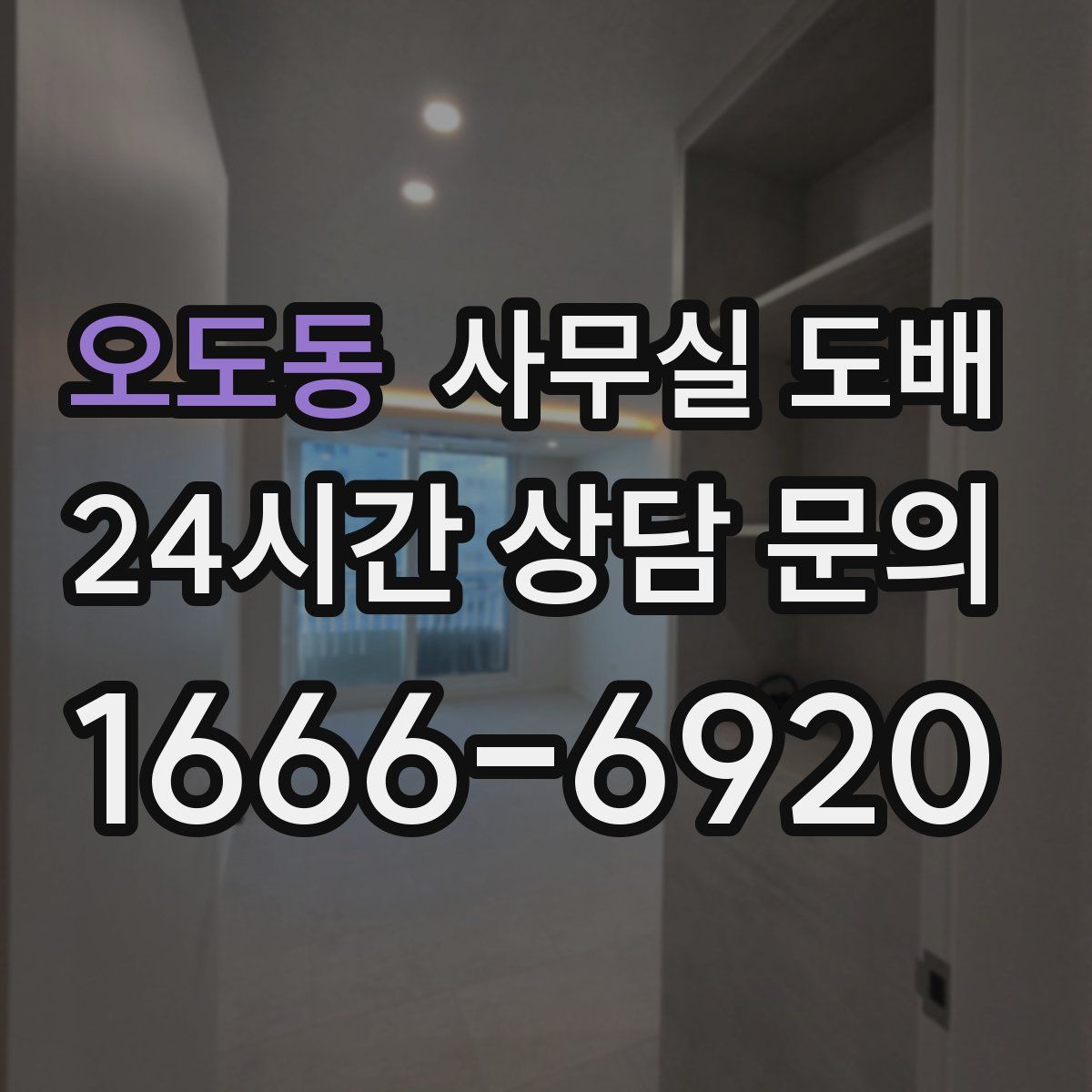 오도동 사무실 도배