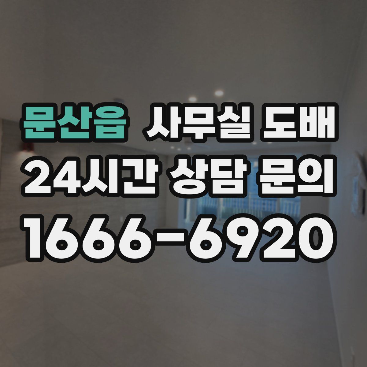 문산읍 사무실 도배