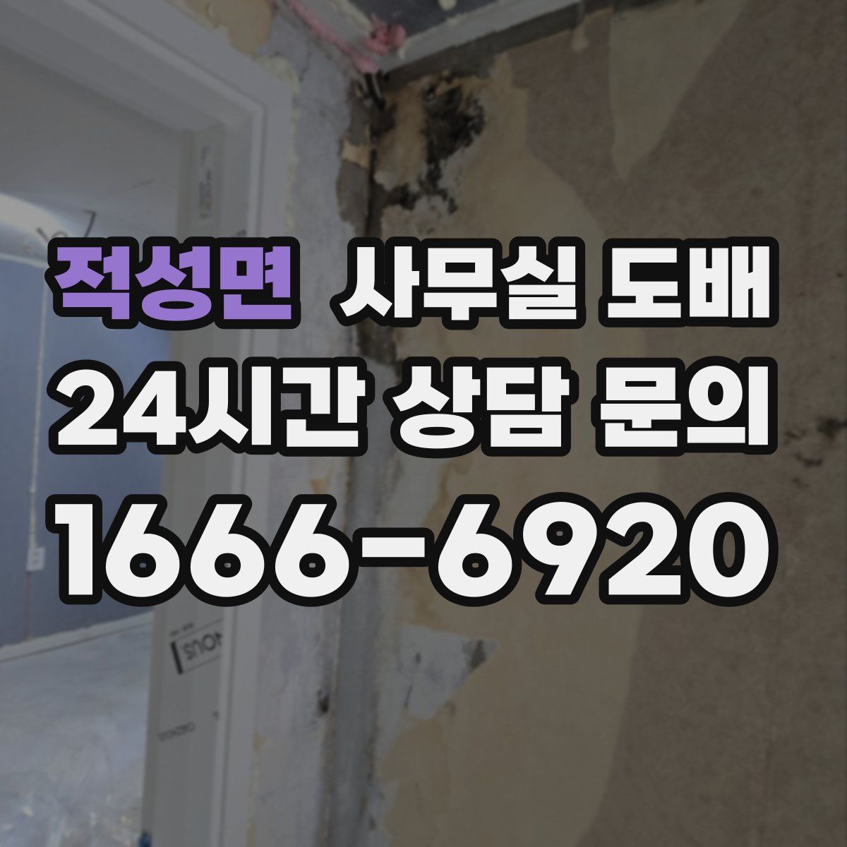 적성면 사무실 도배