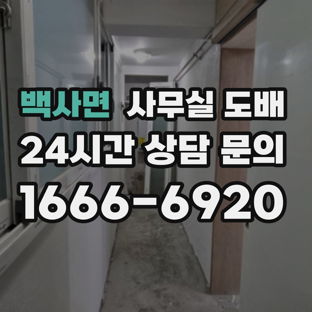 백사면 사무실 도배