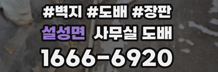 설성면 사무실 도배