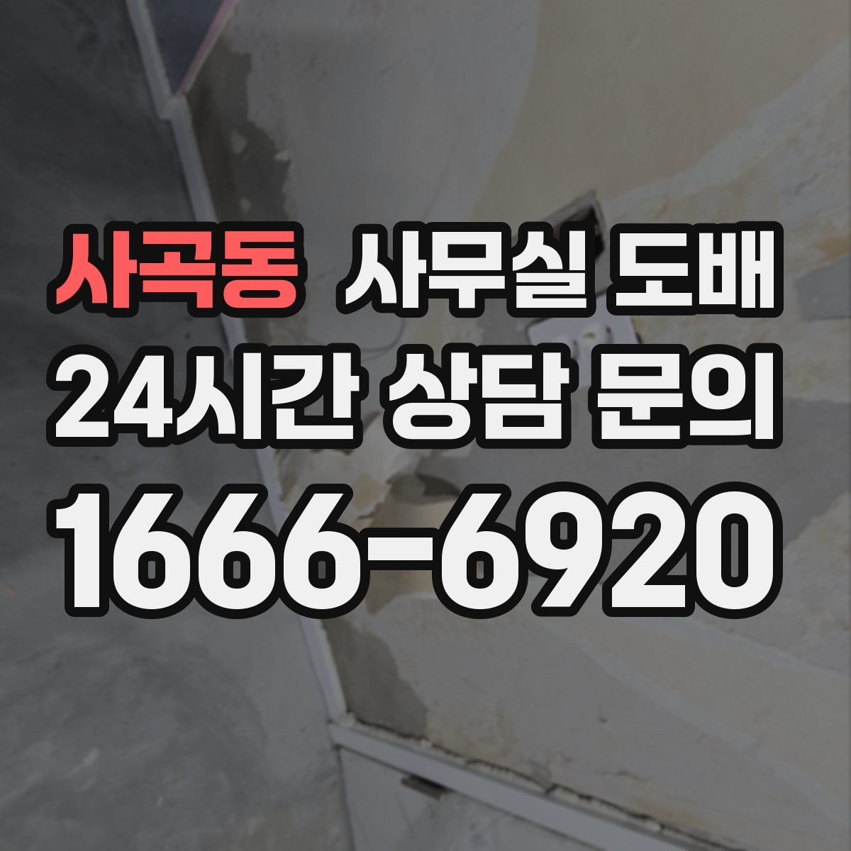 사곡동 사무실 도배