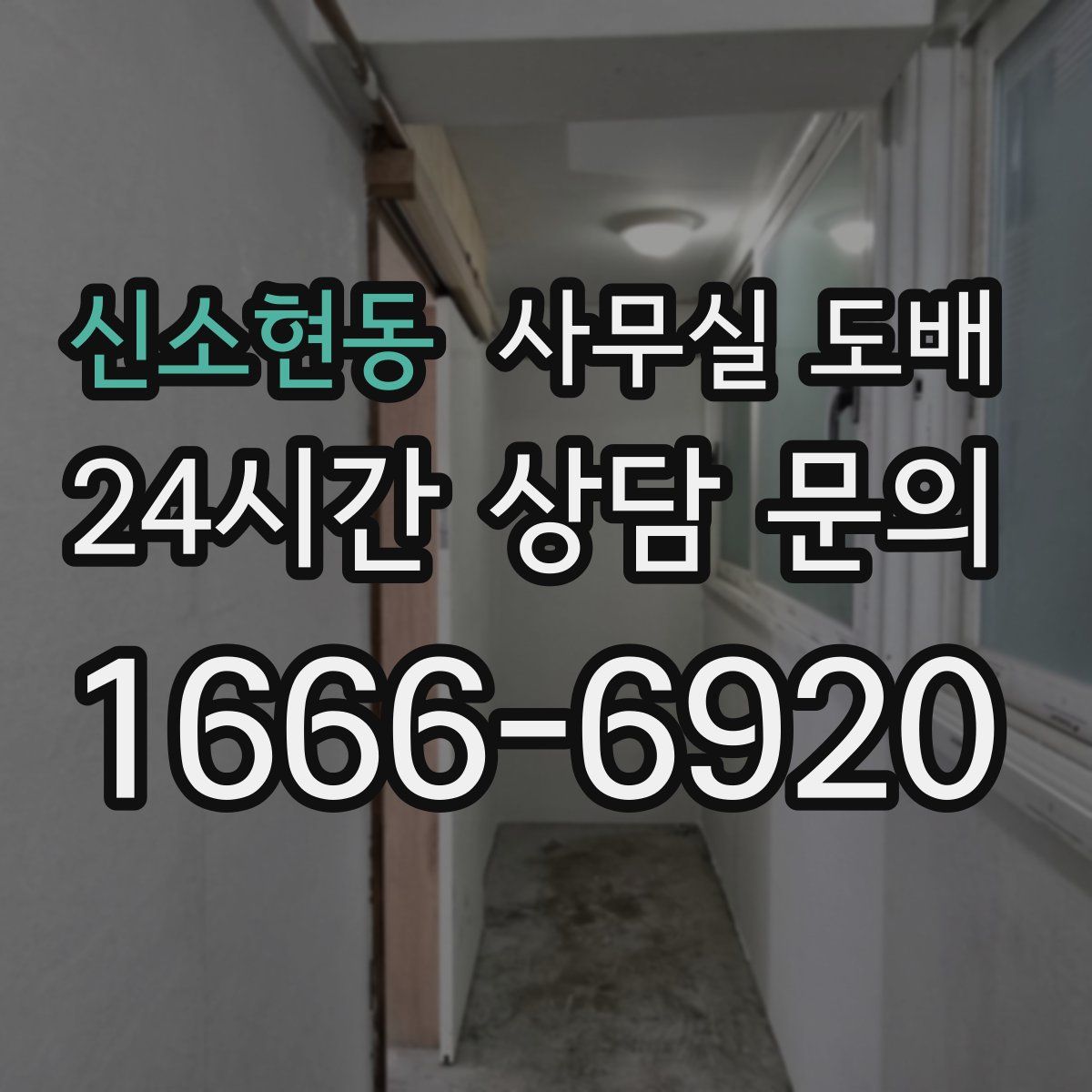 신소현동 사무실 도배