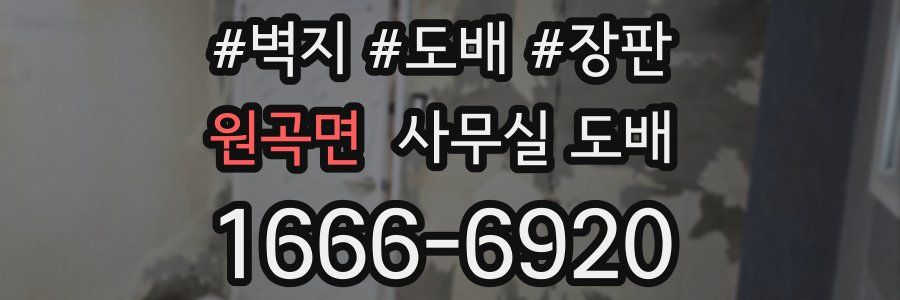 원곡면 사무실 도배