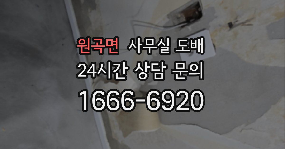 원곡면 사무실 도배
