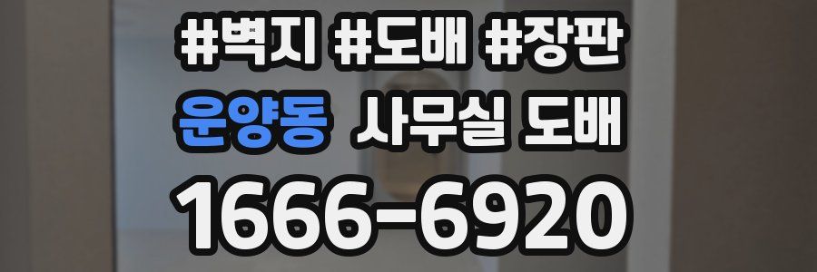 운양동 사무실 도배