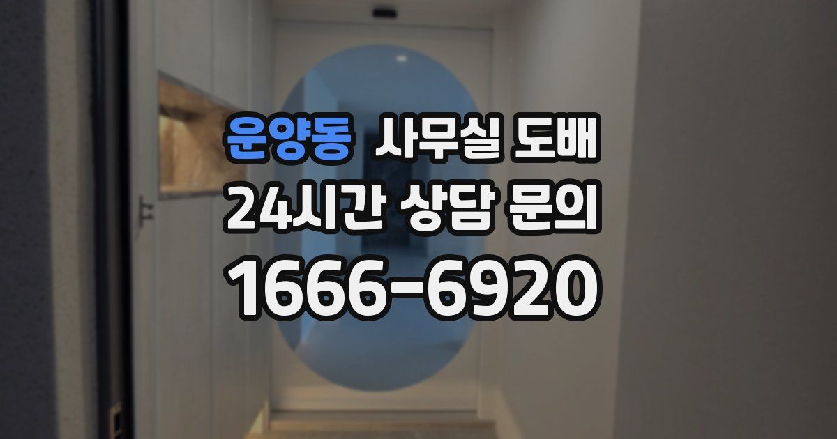 운양동 사무실 도배