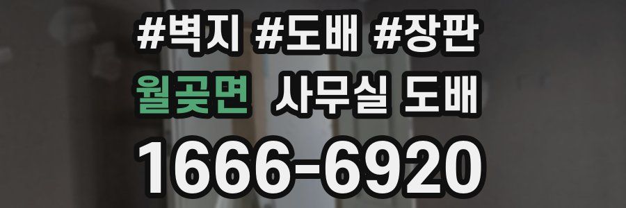월곶면 사무실 도배