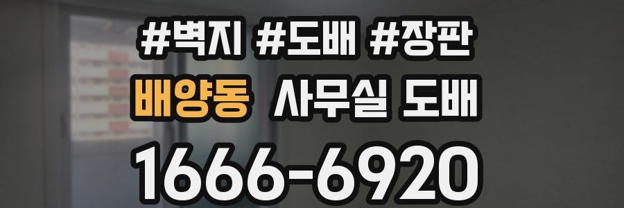 배양동 사무실 도배