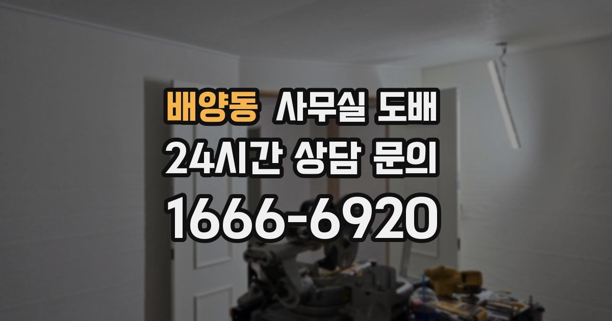 배양동 사무실 도배