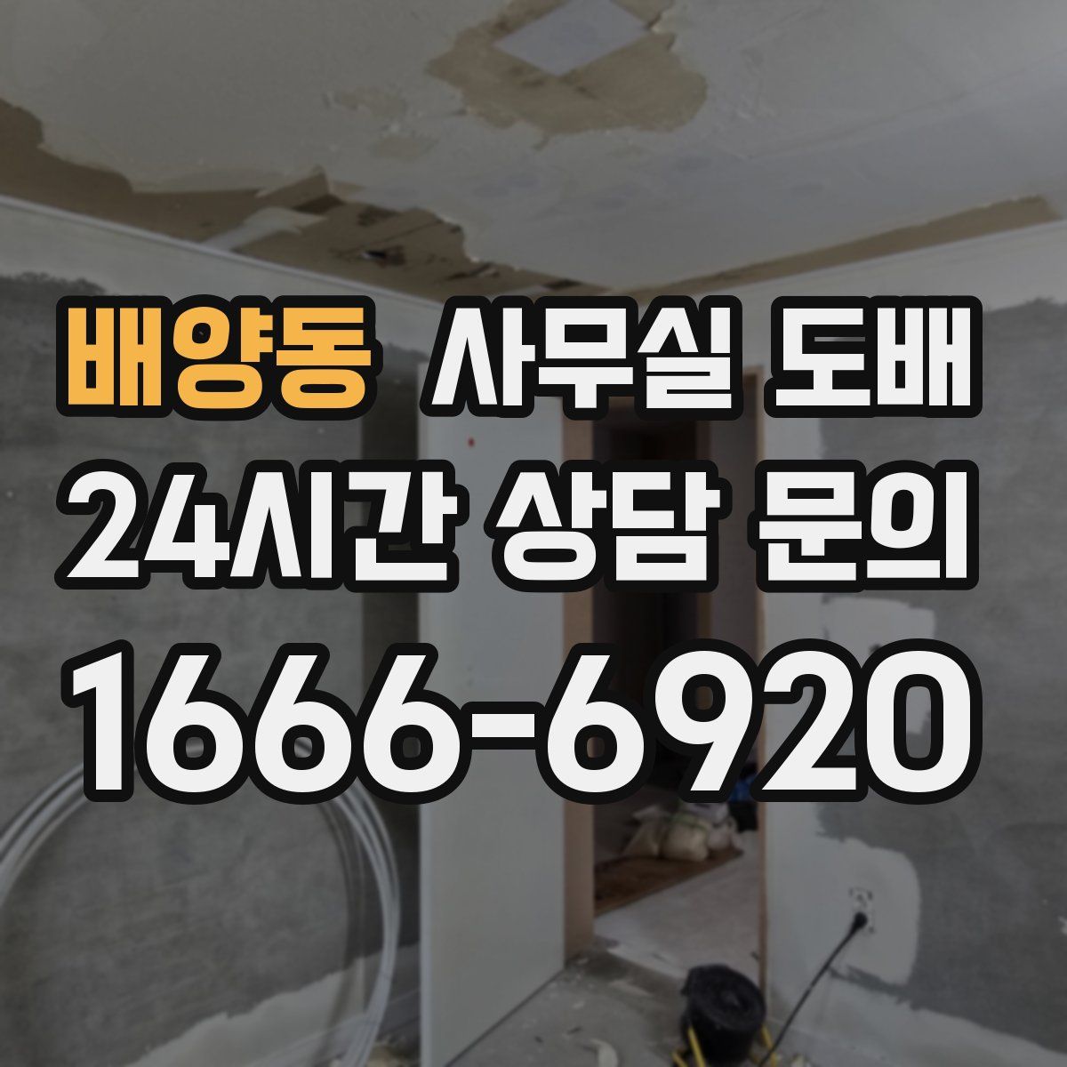 배양동 사무실 도배