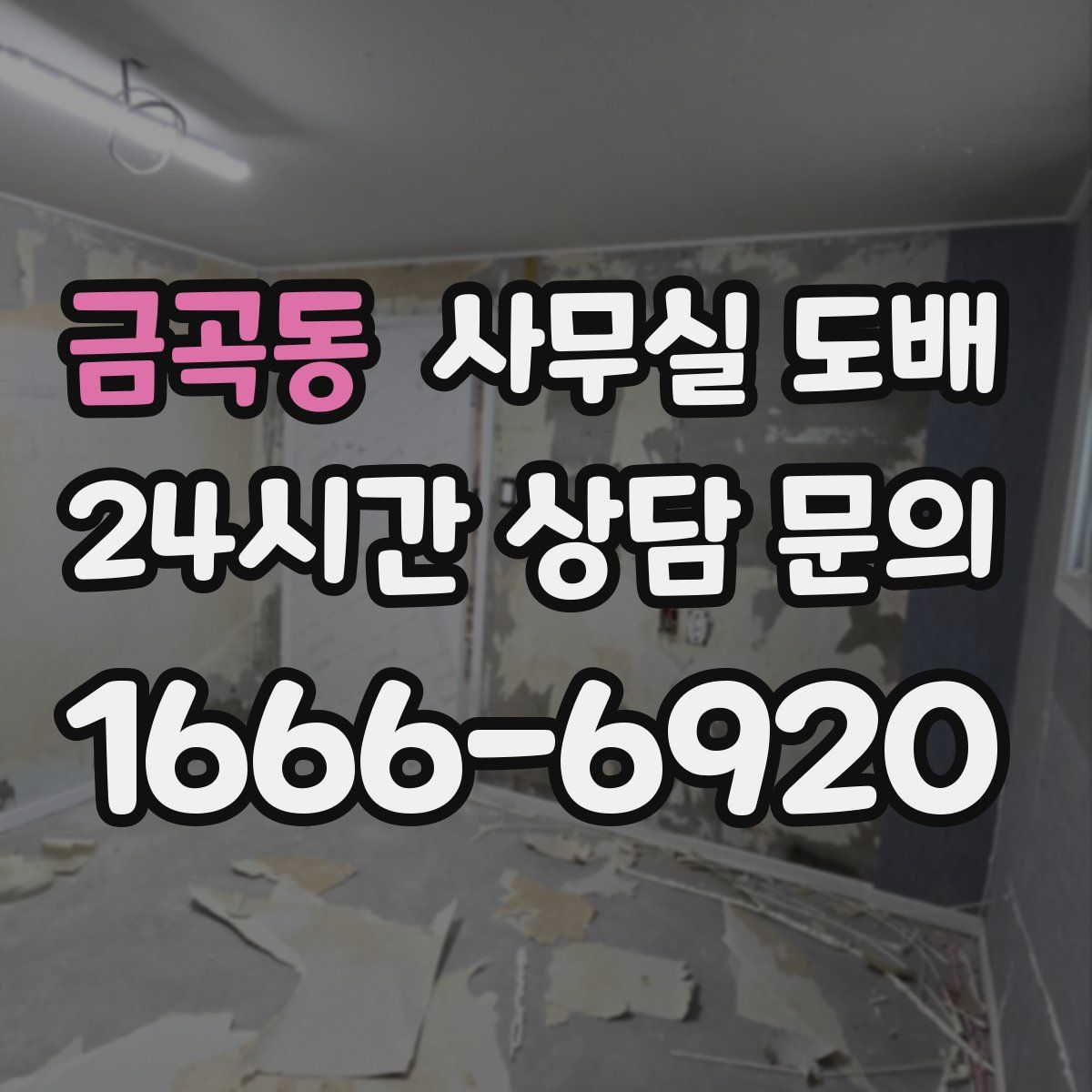 금곡동 사무실 도배