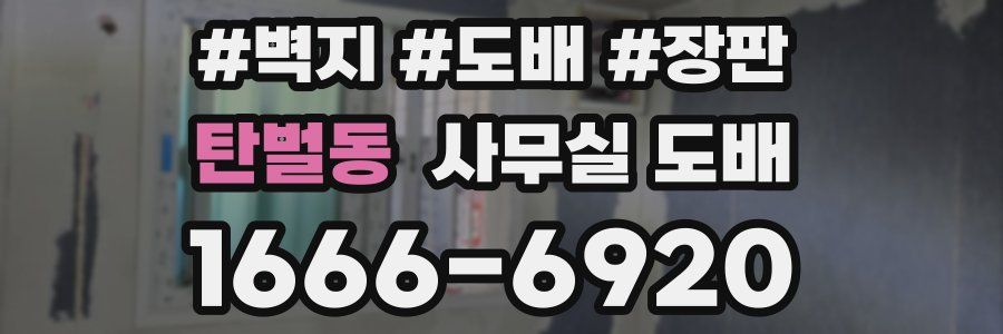 탄벌동 사무실 도배