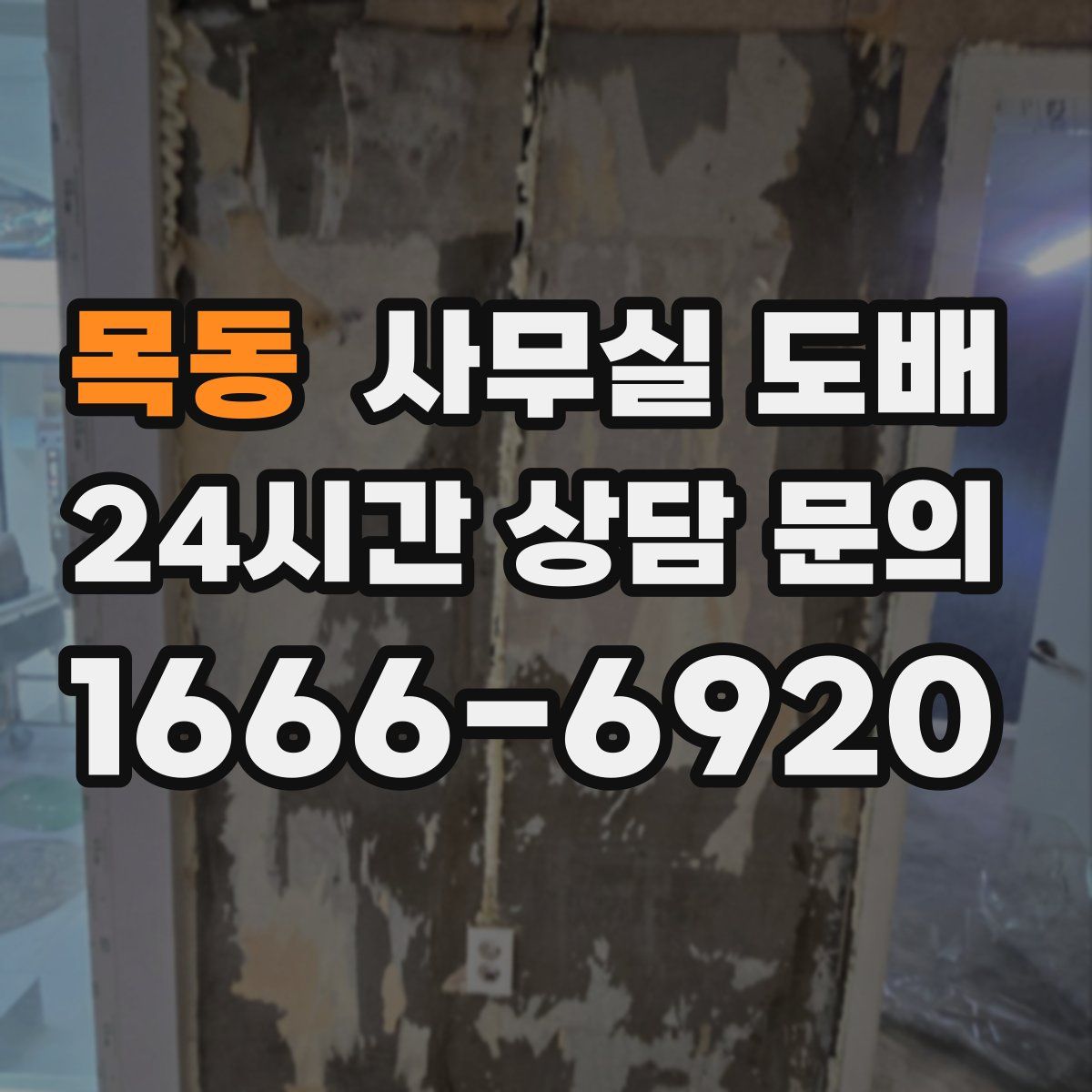 목동 사무실 도배