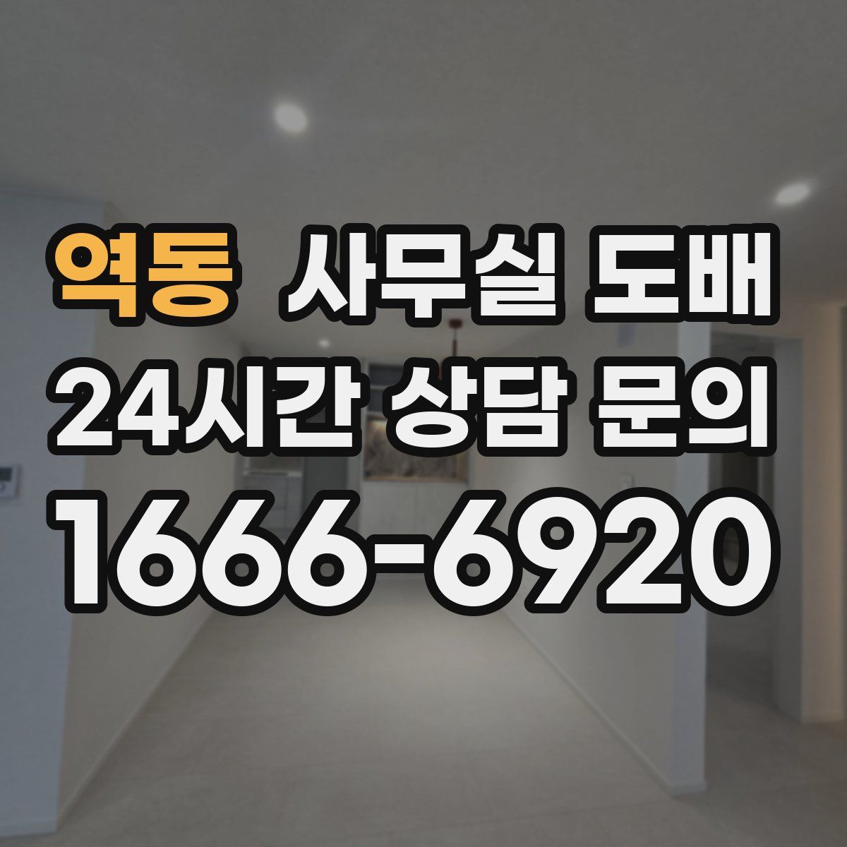 역동 사무실 도배
