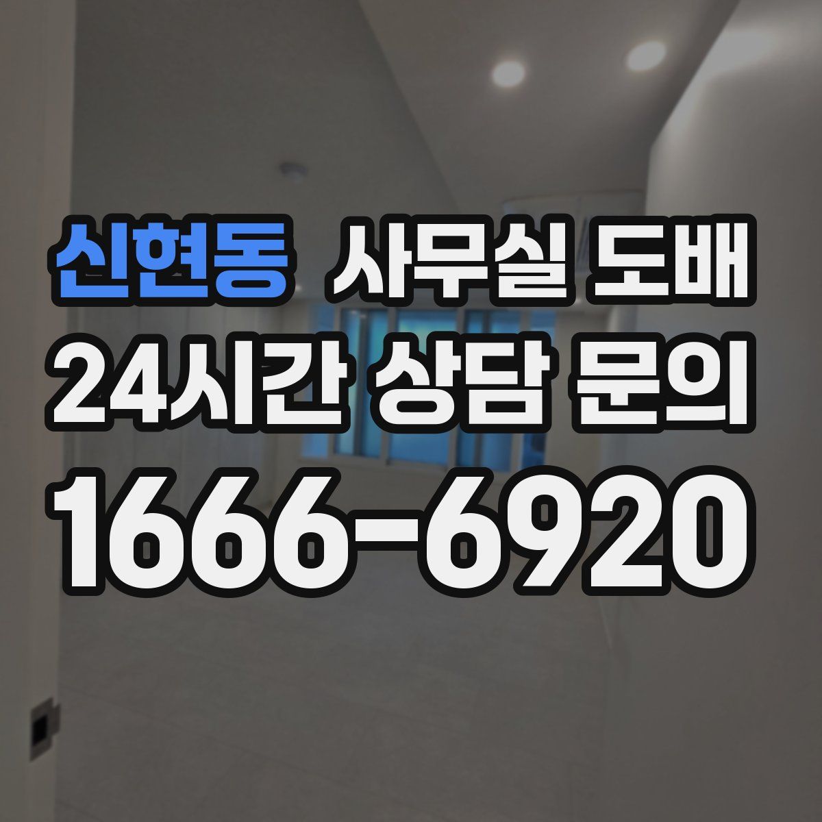 신현동 사무실 도배