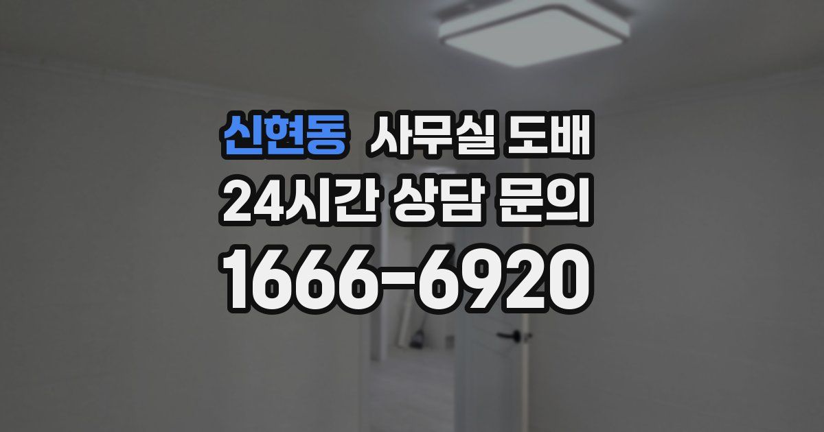 신현동 사무실 도배