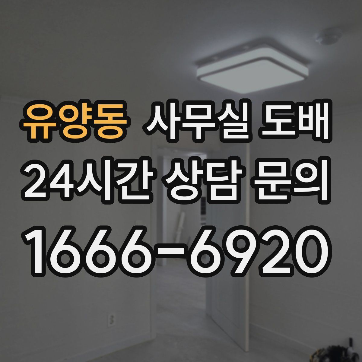 유양동 사무실 도배