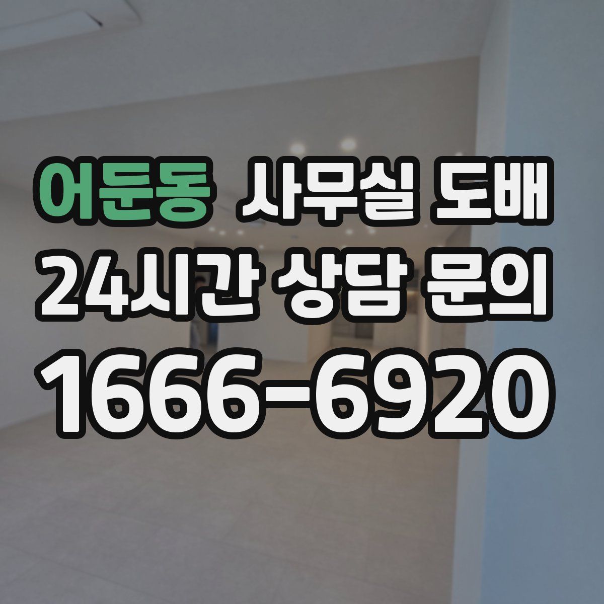 어둔동 사무실 도배