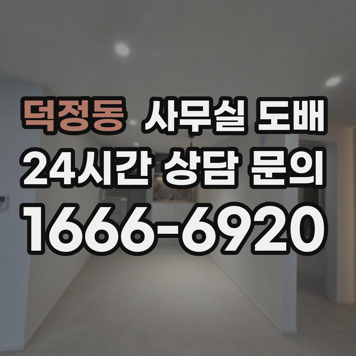 덕정동 사무실 도배